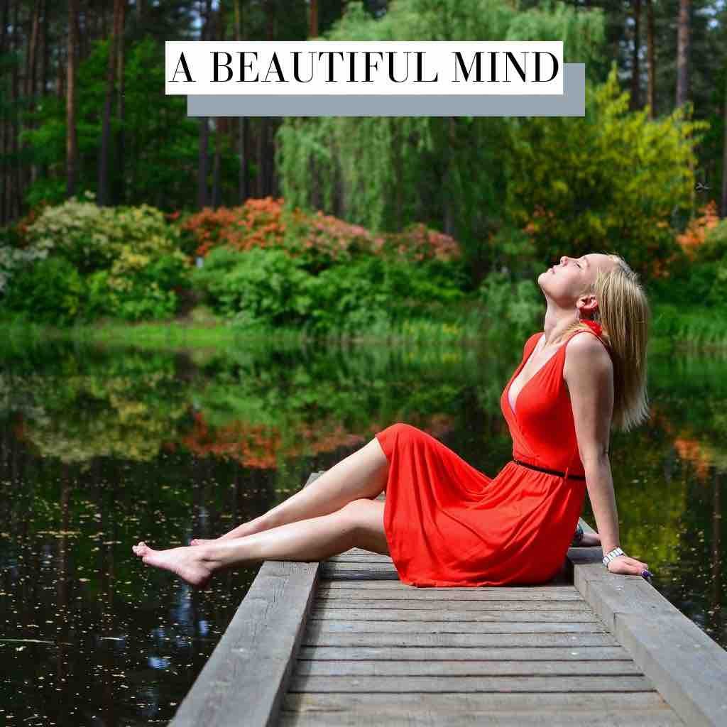 A Beautiful Mind House