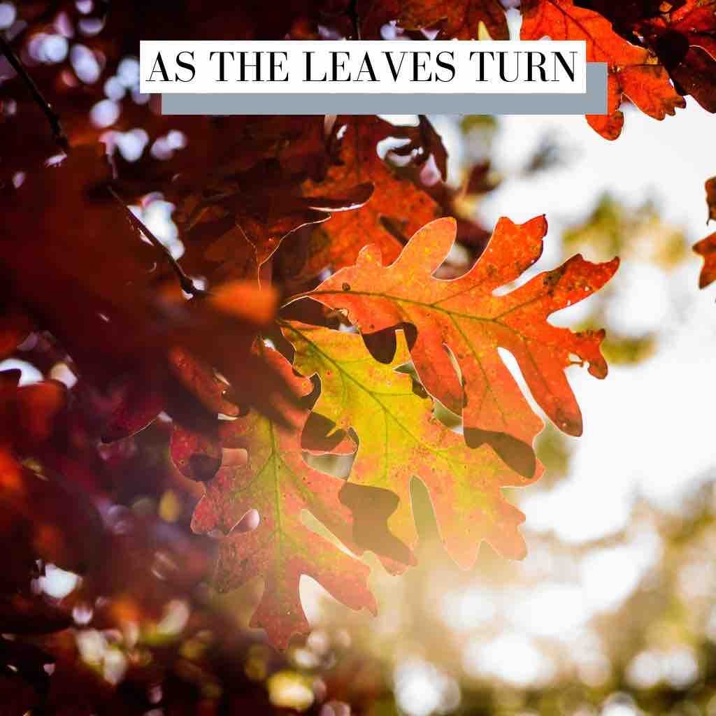 As The Leaves Turn Documentary