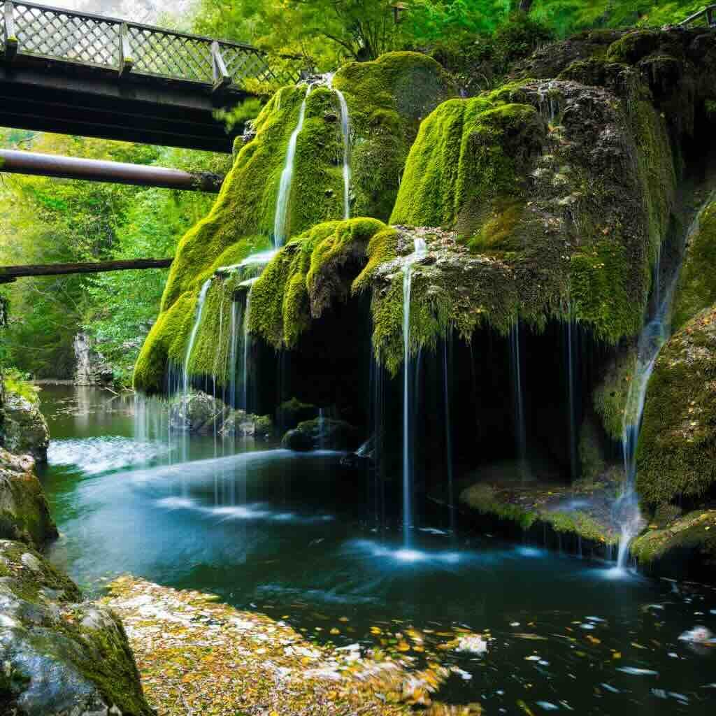 Barefoot Breeze Acoustic