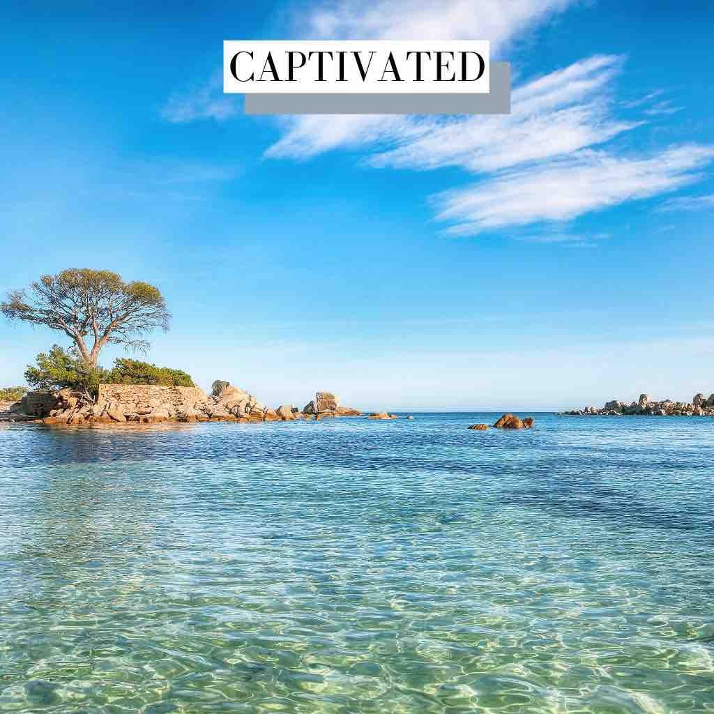 Captivated Documentary