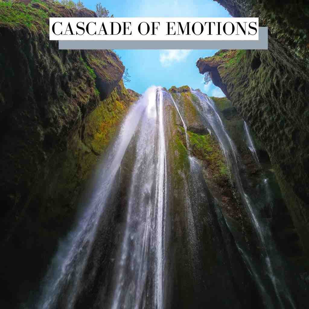 Cascade Of Emotions Documentary