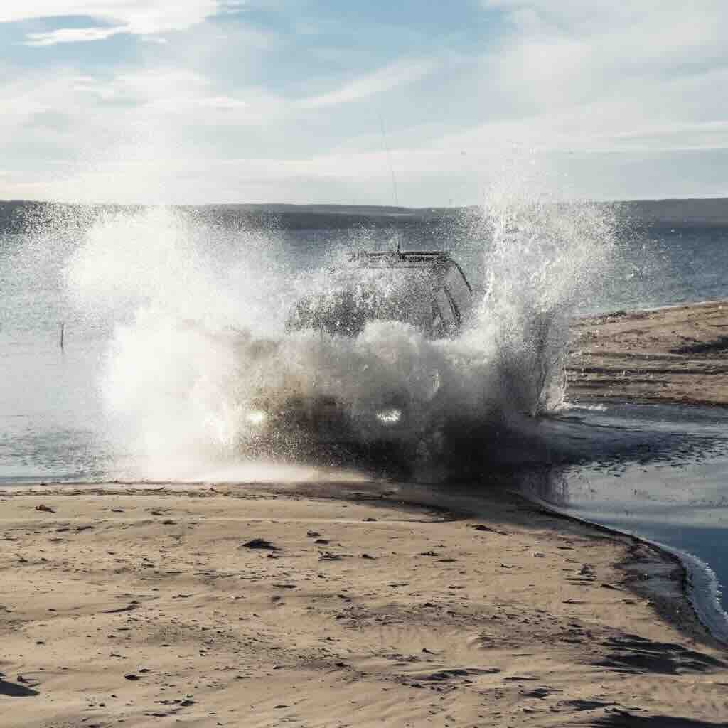 Champions Fire Sport Rock