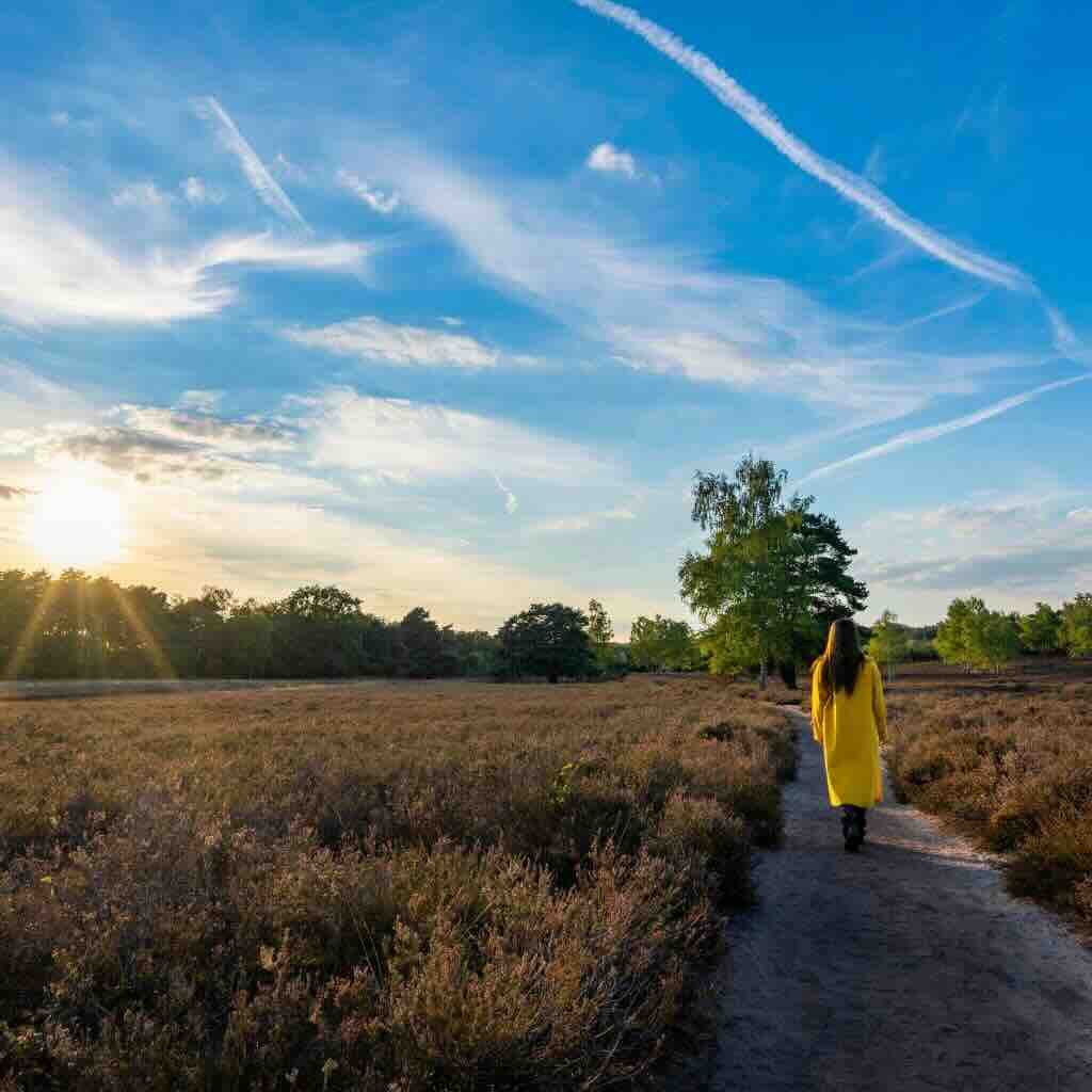 Come Along With Me Acoustic