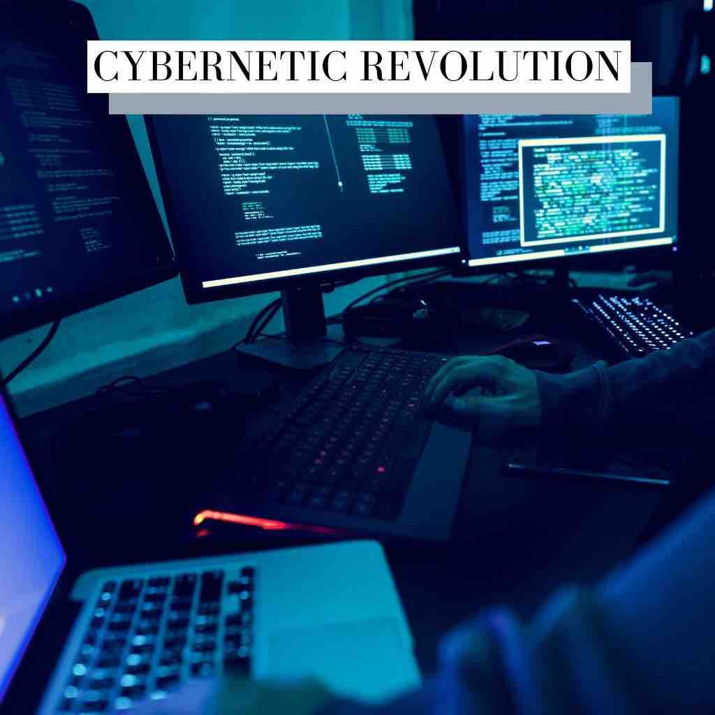Cybernetic Revolution Cyberpunk