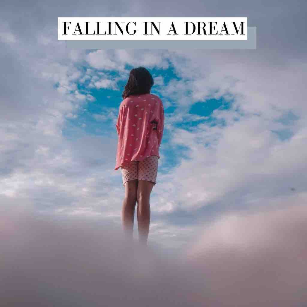 Falling In A Dream Hip Hop
