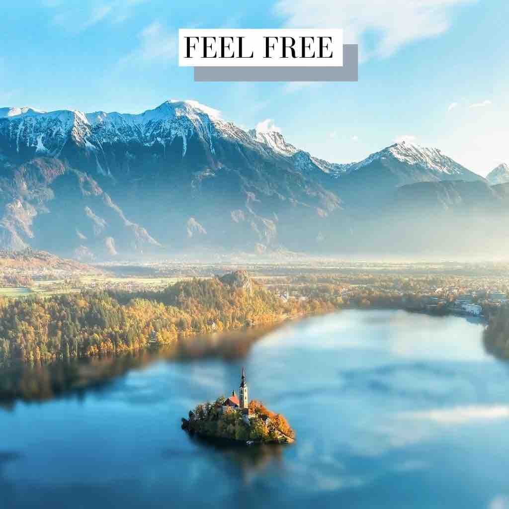 Feel Free Documentary