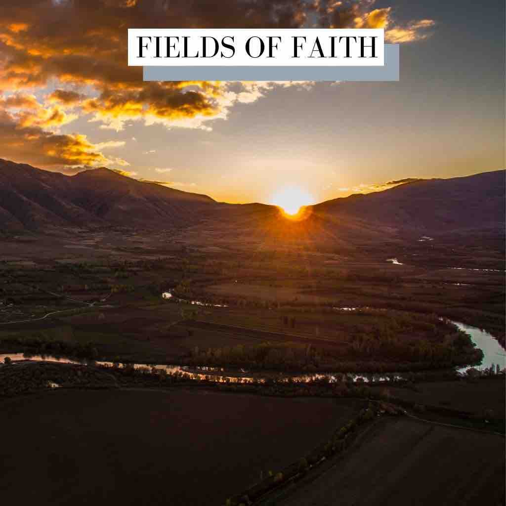 Fields Of Faith Cinematic