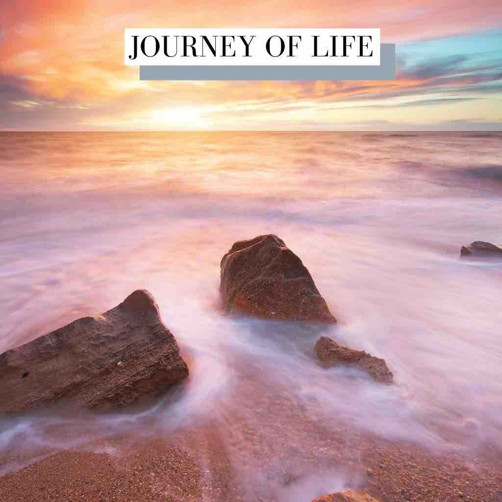 Journey Of Life Documentary