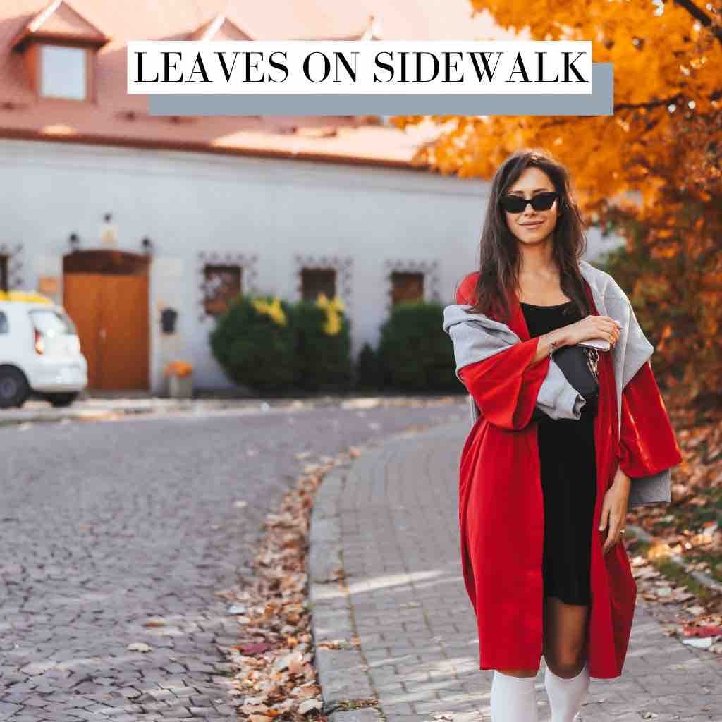 Leaves On Sidewalk Downtempo