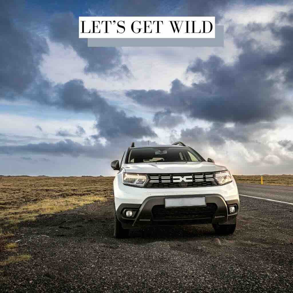 Let’s Get Wild Rock