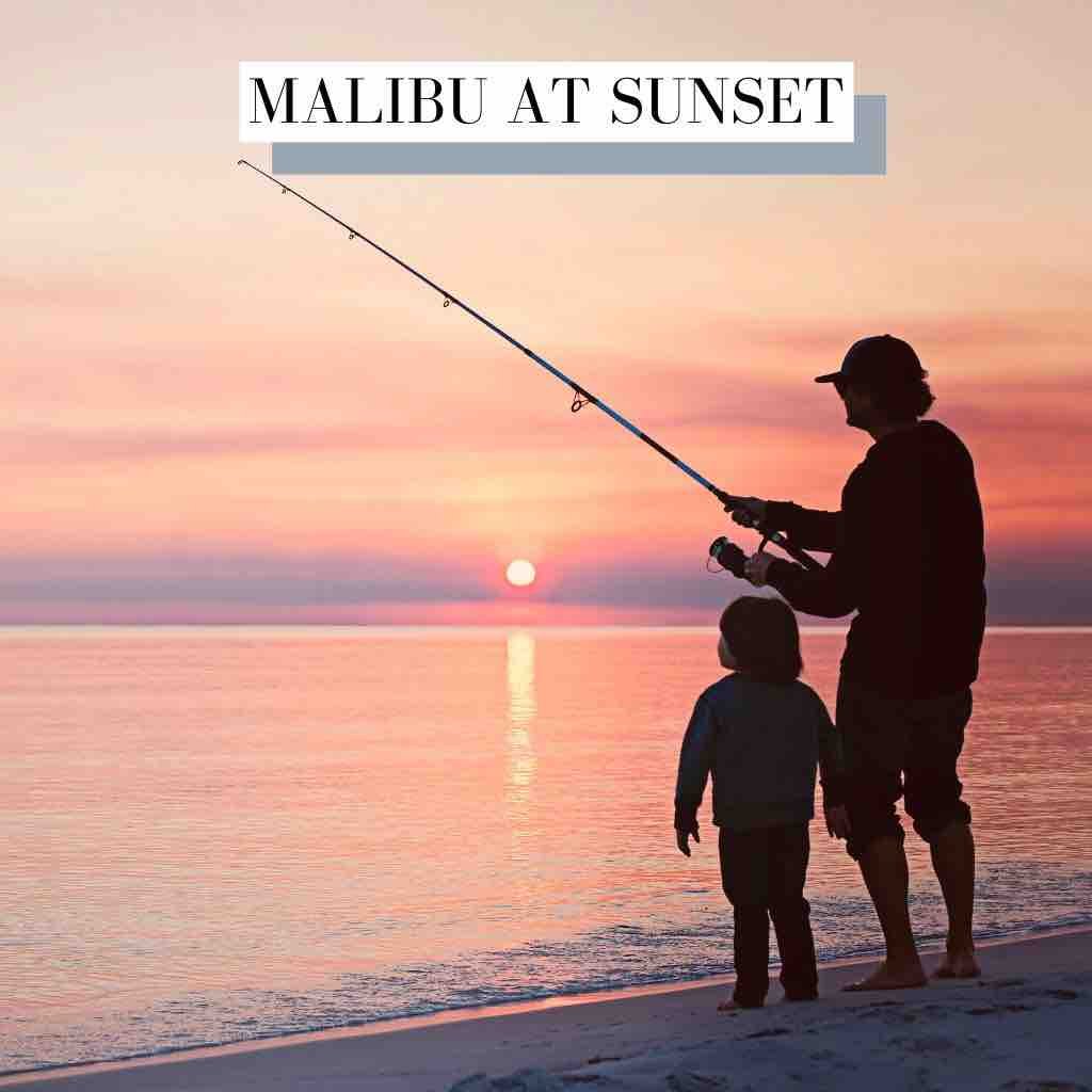 Malibu At Sunset House