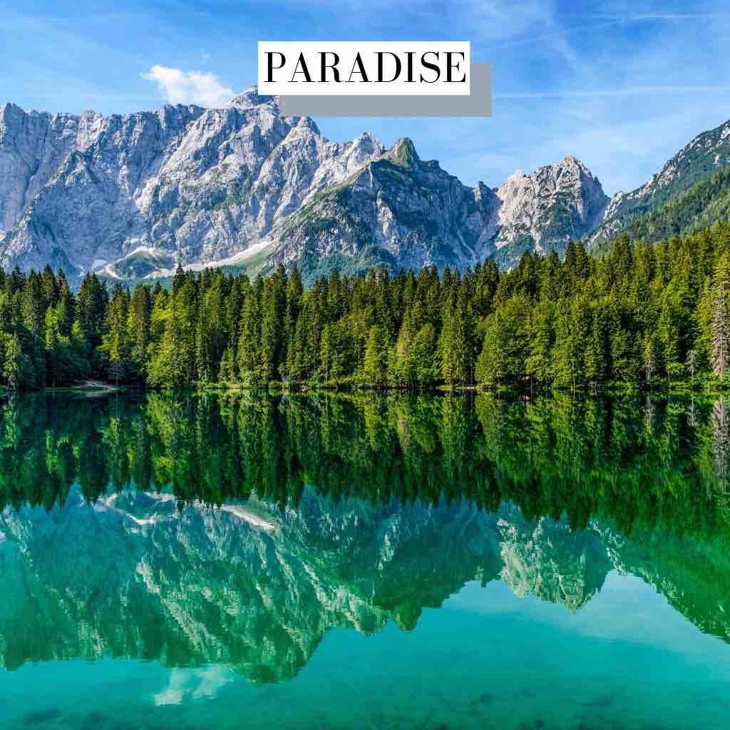 Party On My Mind Future Bass