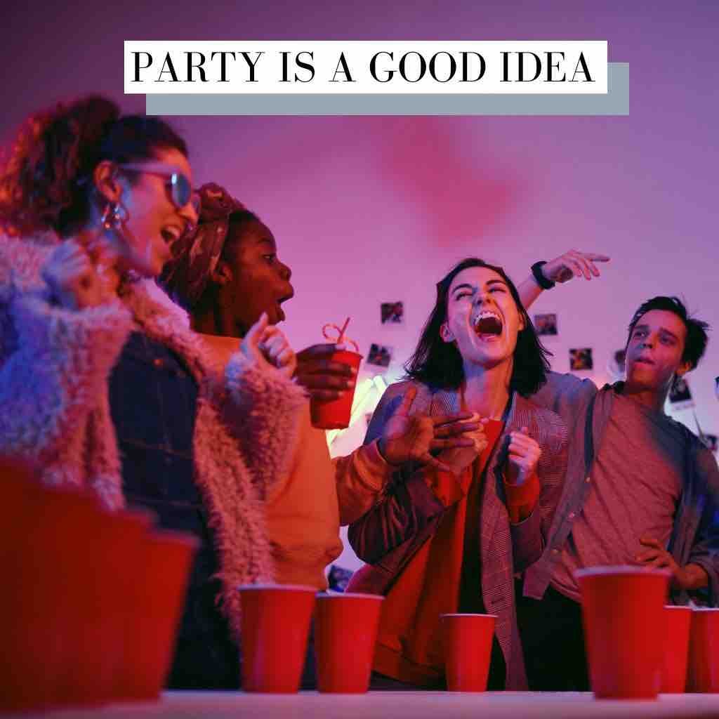 Party Is A Good Idea Indie Rock