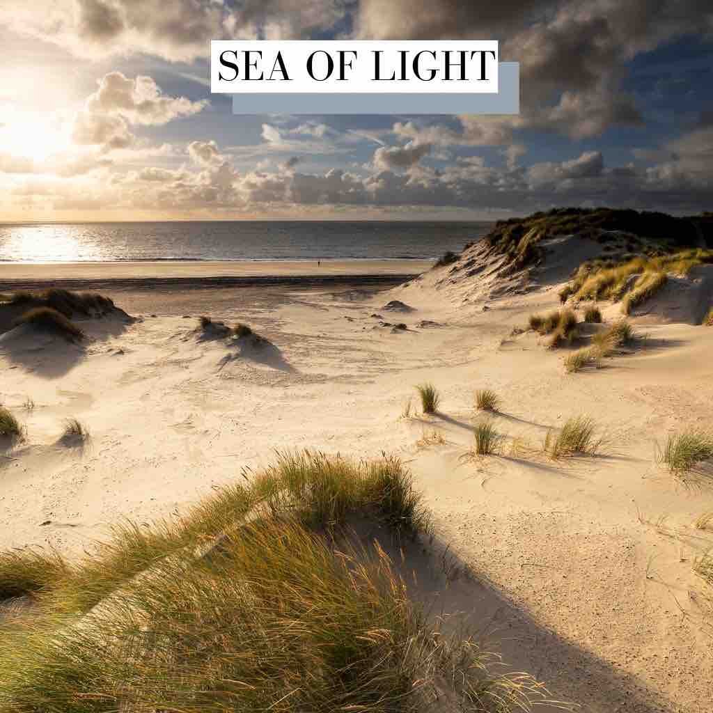 Sea Of Light Cinematic