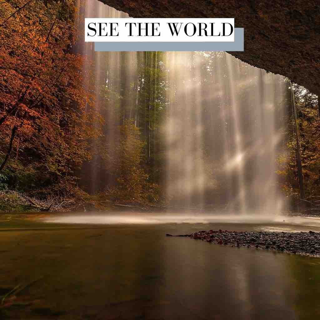 See The World Future Bass