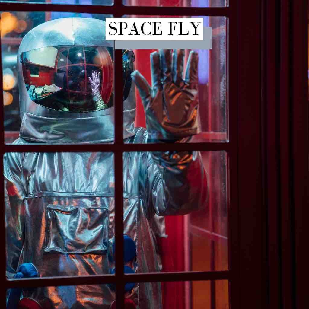 Space Fly Techno