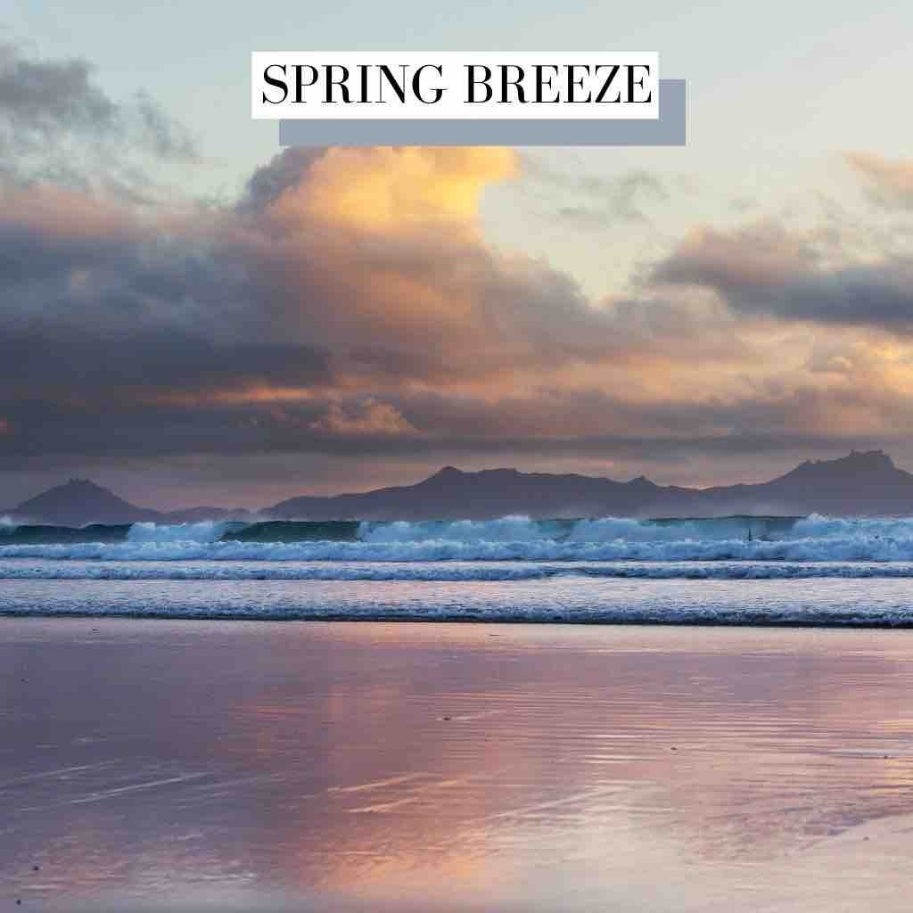 Spring Breeze Acoustic