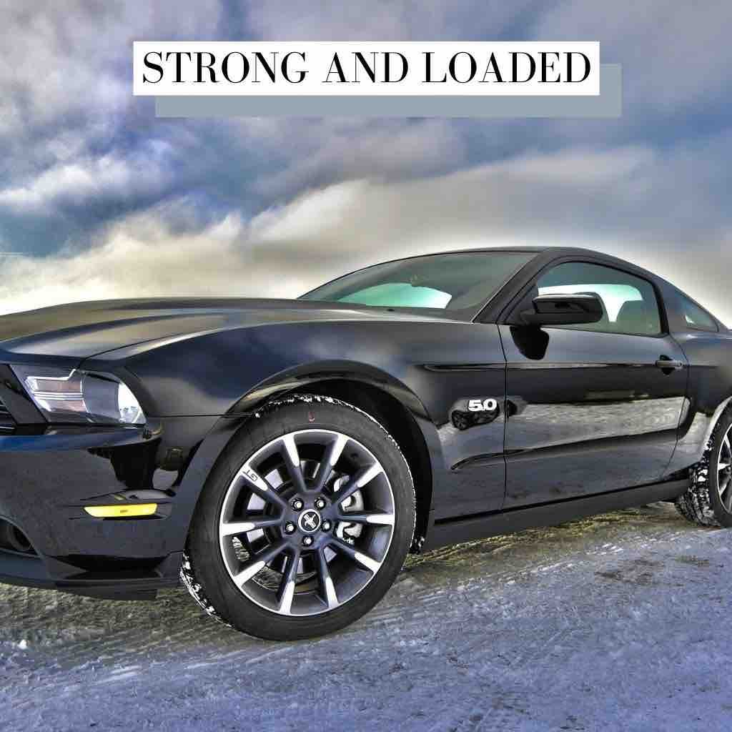 Strong And Loaded Sport Rock