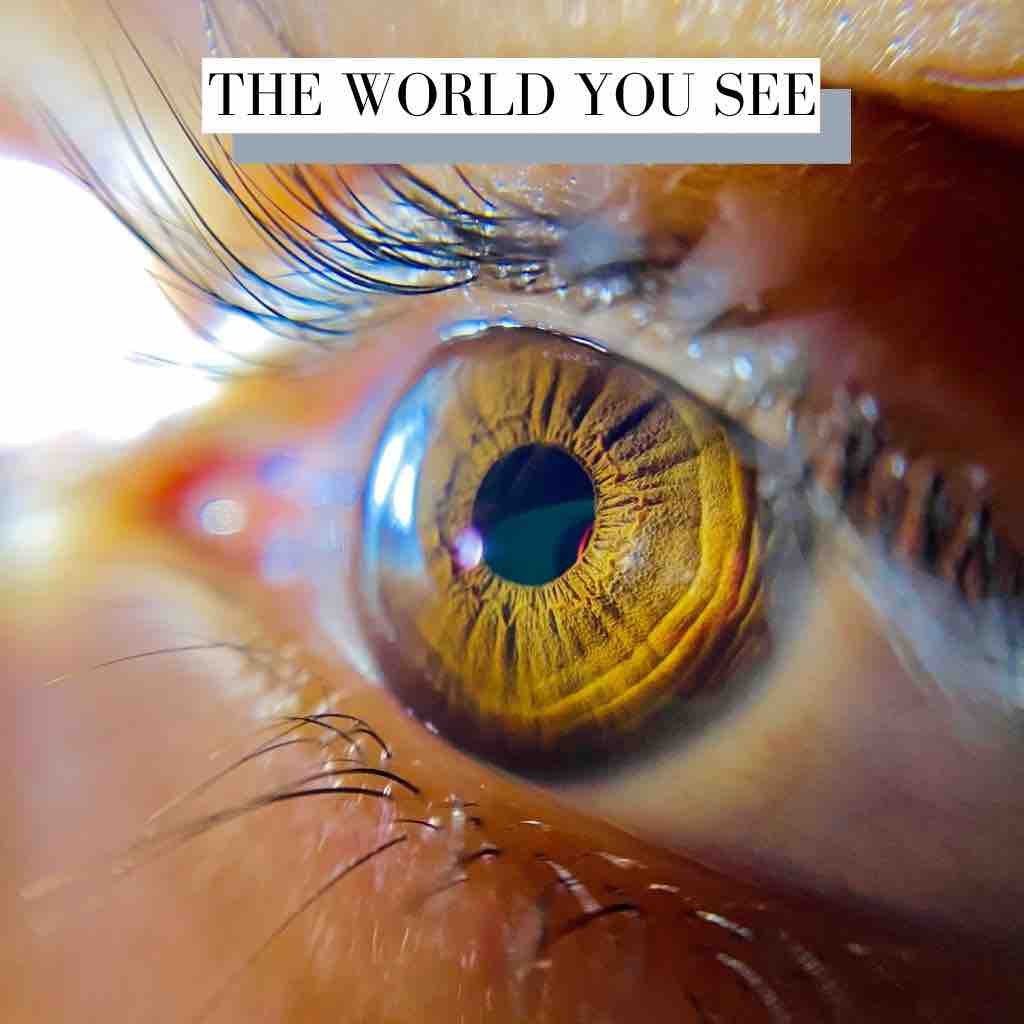 The World You See Electronic