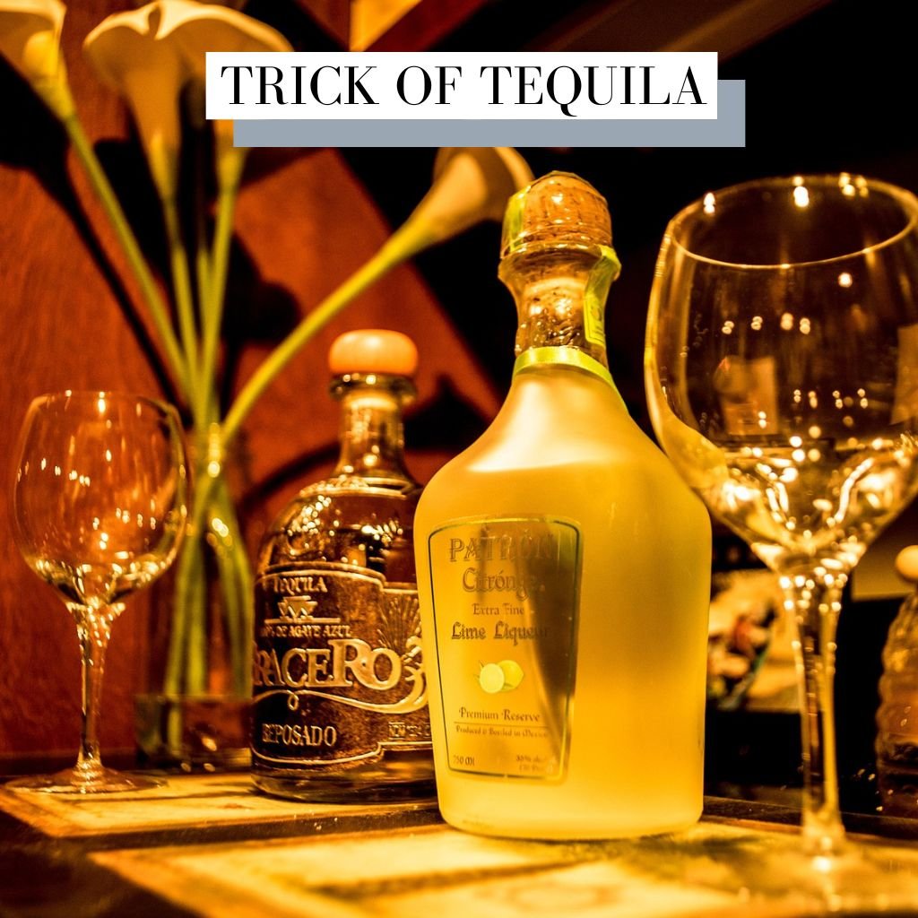 Trick Or Tequila Future Bass