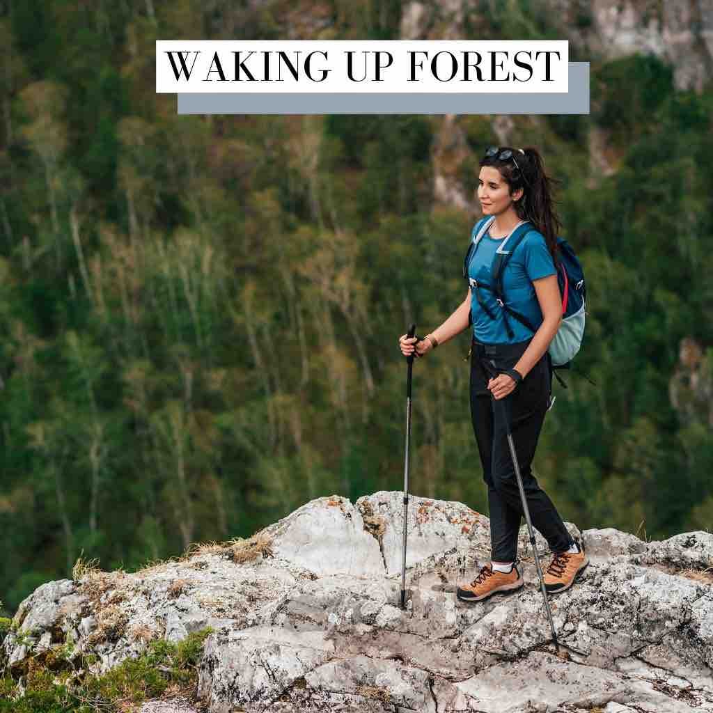 Waking Up Forest Percussion