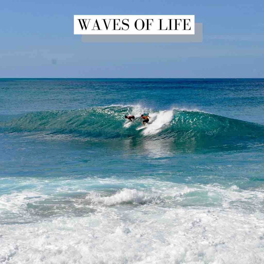 Waves Of Life House