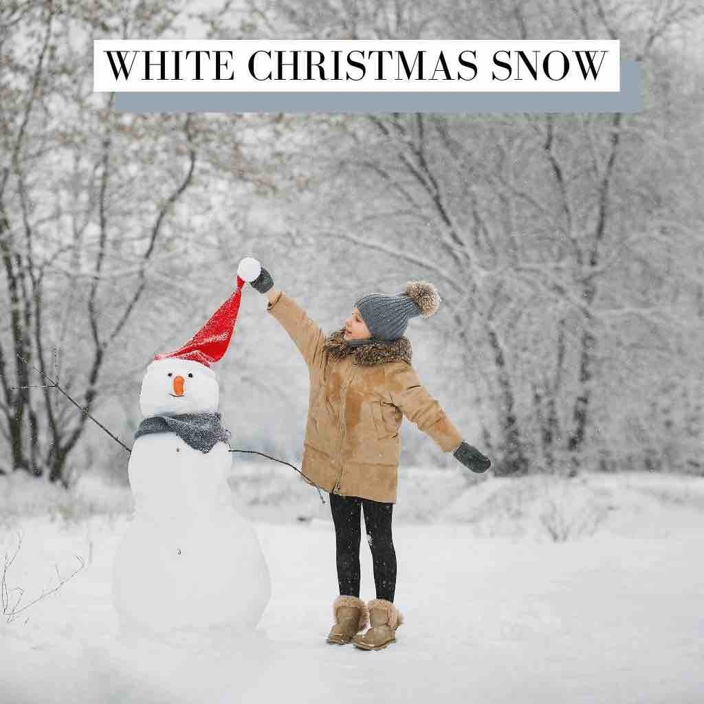 White Christmas Snow Christmas